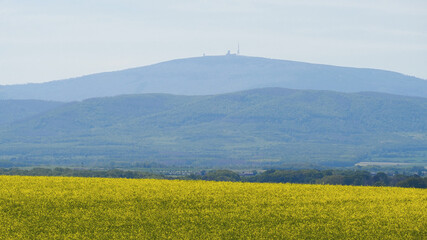 Kleiner Fallstein im Harzvorland - Blick auf den Brocken, Sachsen-Anhalt, Deutschland, Europa