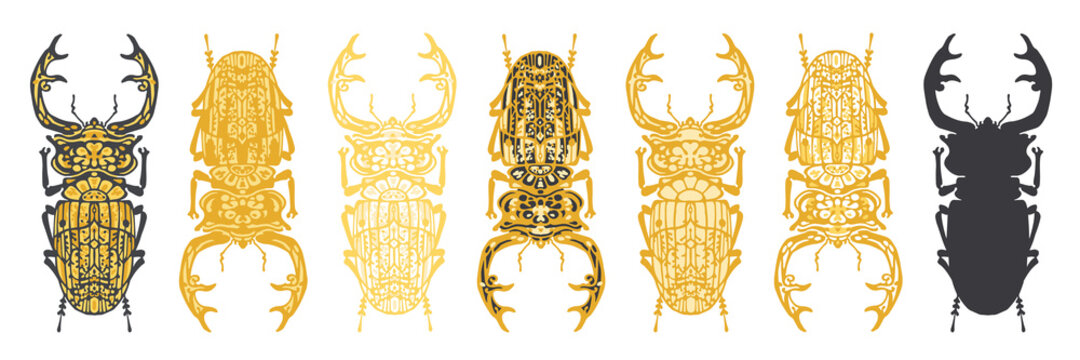 Set of stylised, decorative stag beetle insect vector illustrations, isolated on a white background.