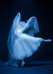 Loneliness. Young graceful beautiful woman, balerina in white wedding dress in art performance. © Lustre Art Group 