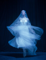 Loneliness. Young graceful beautiful woman, balerina in white wedding dress in art performance. © Lustre Art Group 