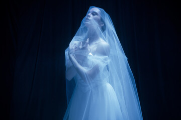 Loneliness. Young graceful beautiful woman, balerina in white wedding dress in art performance. © Lustre Art Group 