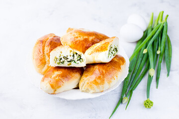 Delicious little pies with green onion and egg. Traditional Russian cuisine. Homemade cakes.