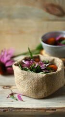 Echinacea flowers and leaves. Healing summer herbs.