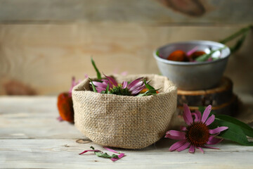 Echinacea flowers and leaves. Healing summer herbs.