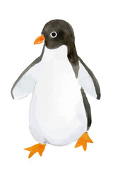 アデリーペンギンの水彩イラスト