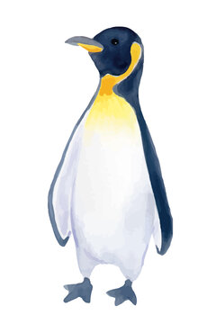 皇帝ペンギンの水彩イラスト
