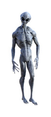 Illustration of a grey alien with a toned muscular body looking forward.