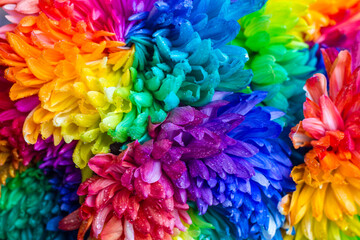 bouquet of colorful large chrysanthemums