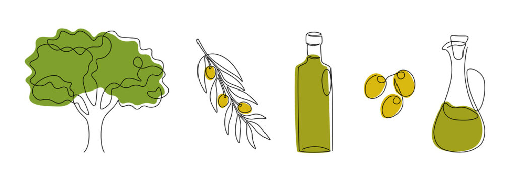 One line olive. Continuous line olive tree, branches and glass bottle of oil, cooking ingredient. Vector isolated set