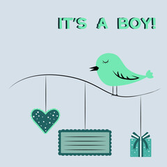 vector image of a metric for the birth of a boy. Bird on a gray background. Nice picture.