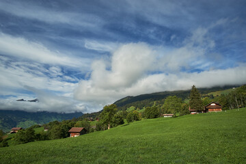 A valley of green grassy hills with alpine houses, trees and mountains in the background in Grindelwald, Switzerland.

