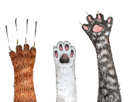 Watercolor set with three cat paws.
