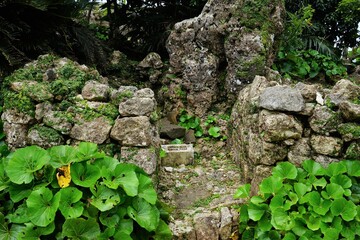 Nakagusuku Castle ruins. World heritage of Okinawa, Japan - 沖縄の世界遺産 中城城跡
