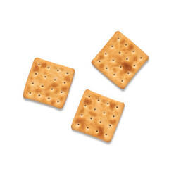 Biscuits isolated on white background. Top view, flat lay. Dry unsweetened crackers.
