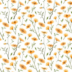 Seamless pattern with hand painted watercolor wild flowers