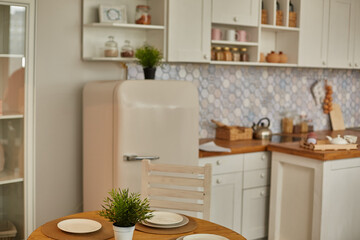 Stylish kitchen interior design in Scandinar style. Cozy home