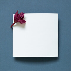 White memo pad with purple flower on navy blue background. top view, copy space