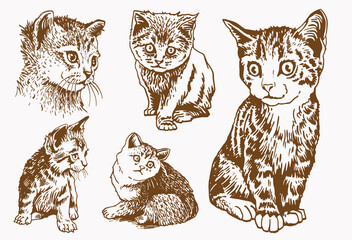 Graphical set of cats, vintage illustration