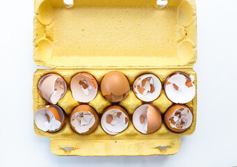 
eggshells in a box broken chicken eggs