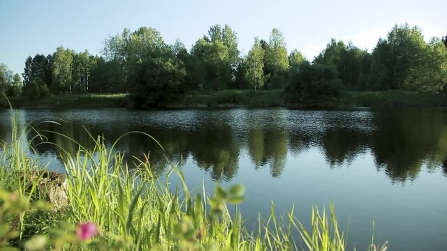 Quiet evening on the shore of a pond or lakeside with boken