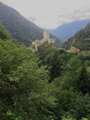Fototapeta premium fort in the forest
