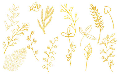 Set of gold branches, linear leaves and seeds. Hand painted isolated on white background.