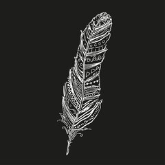 Feather. Zentangle design. Hand drawn feather with abstract patterns on isolated background. Black and white illustration