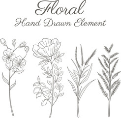set hand drawn botanical floral decorative elements