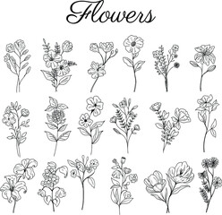 set hand drawn botanical floral decorative elements