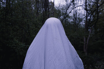 A moody horror edit of a ghost with a sheet over it's head. Standing in a forest.