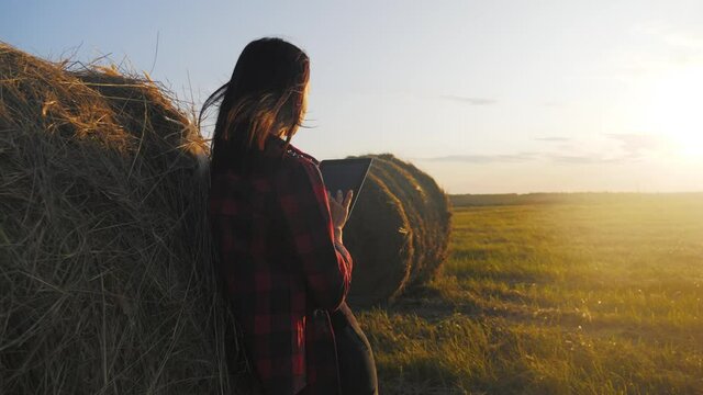 Smart technologies in agriculture. A pretty young woman farmer uses a tablet near a haystack in a mown field at sunset, planning and running an agribusiness using smart technologies.