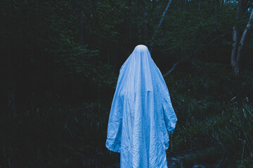 A moody horror edit of a ghost with a sheet over it's head. Standing in a forest.