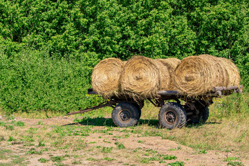 Hay bales are lying on the cart.
