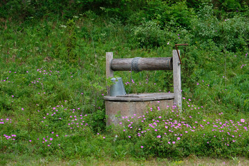 Fototapete bei efototapeten.de bestellen   