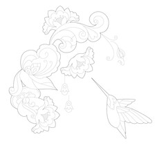 Contour linear illustration for coloring book. Beautiful bird colibri, anti stress picture. Line art design for adult or kids  in zentangle style and coloring page.