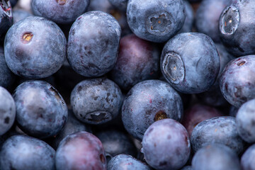Blueberries, lots of berries. The harvest 