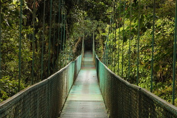 Pont suspendu - Monteverde - Costa Rica