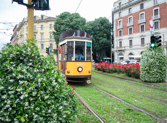 Naklejka premium yellow historycal tram in Milan downtown in summertime.Lombardy,northern Italy.