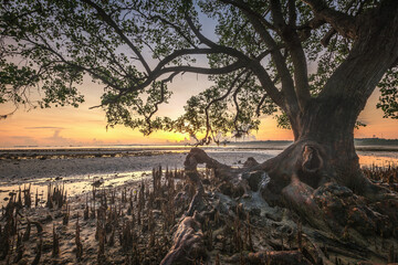 Wonderful Sunrise at Batam Bintan Island Indonesia