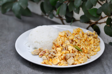 omelet or Thai omelet or stir fried egg with rice