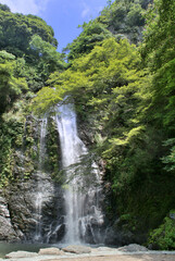 Fototapeta na wymiar 大阪　箕面の滝