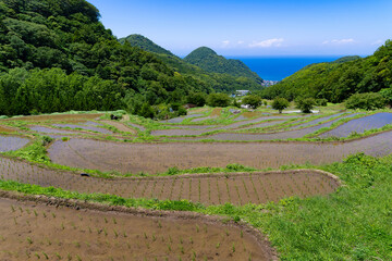 静岡県賀茂郡松崎町　石部の棚田