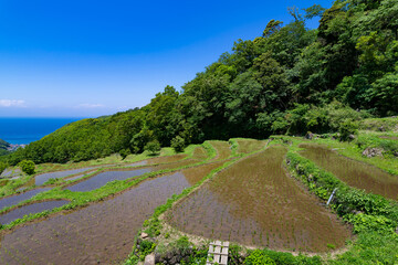 静岡県賀茂郡松崎町　石部の棚田