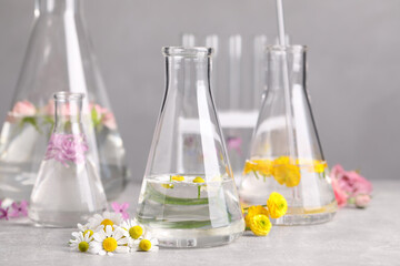 Flasks with different flowers on light table. Essential oil extraction