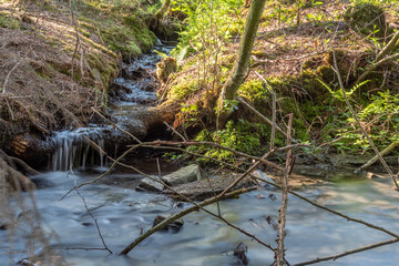 kleiner Wasserfall im Wald