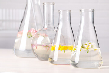 Laboratory glassware with different flowers on white wooden table. Essential oil extraction