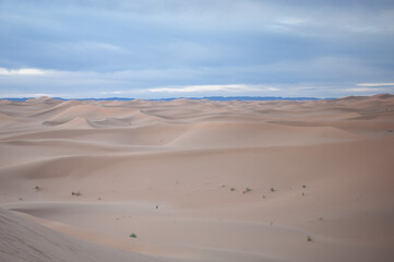 endless expanses of the Sahara huge sand dunes at dawn of sunrise 