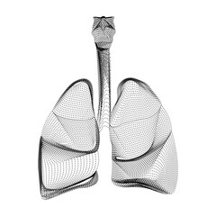 Human lungs silhouette consisting of black dots and particles. 3D vector wireframe of internal organ with a grain texture. Abstract geometric icon with dotted structure isolated on a white background