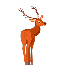 Rear view of the deer. Ungulate ruminant mammals. Cartoon animal design. Cute deer with horns. Flat vector illustration isolated on a white background
