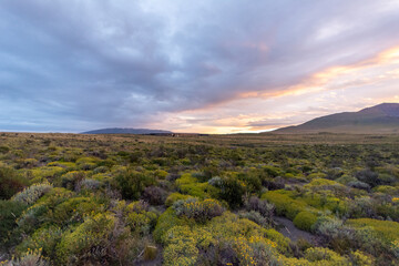 Fototapeta na wymiar Patagonia Sunset